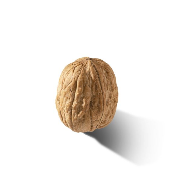 Walnuts - In shell