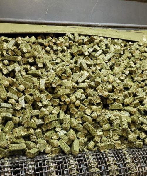 Bulk Alfalfa Premium Hay Cubes - Sun Cured