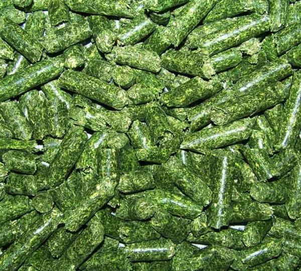 Bulk Alfalfa Hay Pellets - Sun Cured