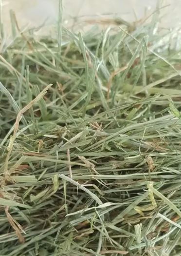 Bulk Fescue Grass Straw