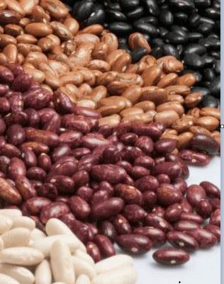 Kidney Beans